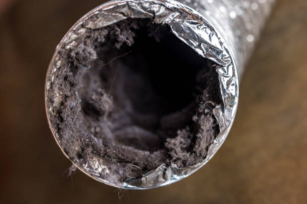 Best Home Air Vent Cleaning  in Apple Valley, CA