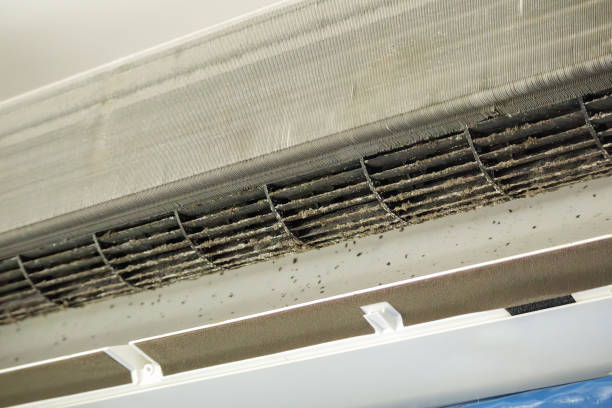 Best Commercial Air Duct Cleaning  in Apple Valley, CA