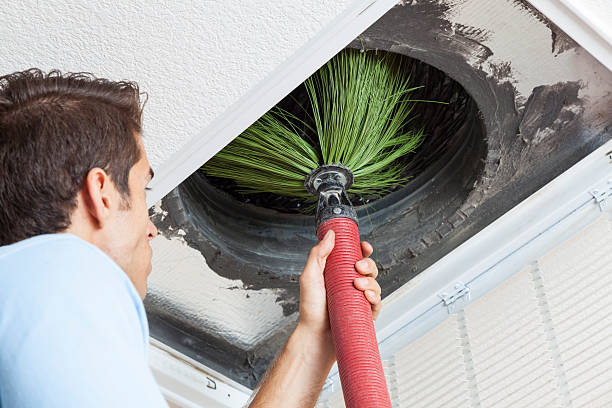 Best Air Duct Mold Removal  in Apple Valley, CA